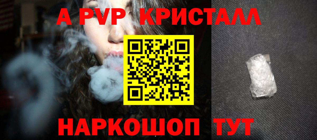 Альфа ПВП СК КРИС Курчалой
