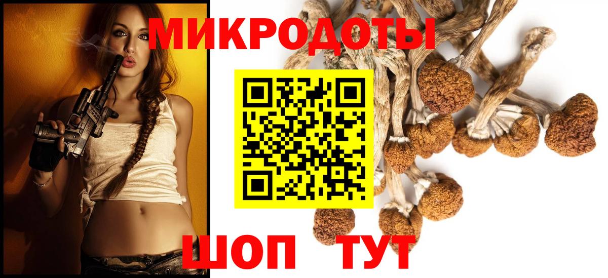 Псилоцибиновые грибы MAGIC MUSHROOMS Курчалой