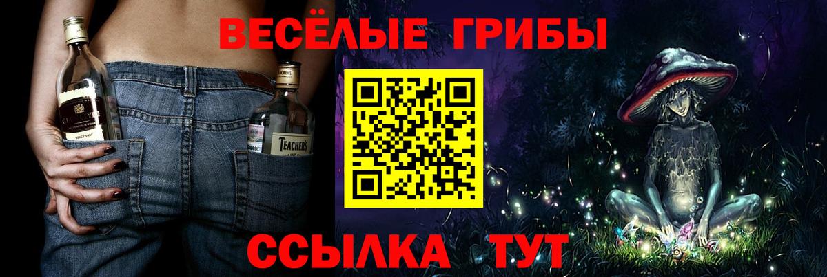 Курчалой  Псилоцибиновые грибы Psilocybine cubensis  купить наркоту  Вход с VPN 